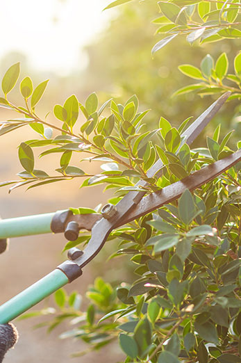 Entreprise de jardinage Le Grand-Lucé et Bessé-sur-Braye