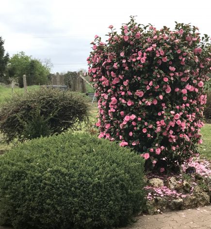 pose de clôture et  muret dans la Sarthe 